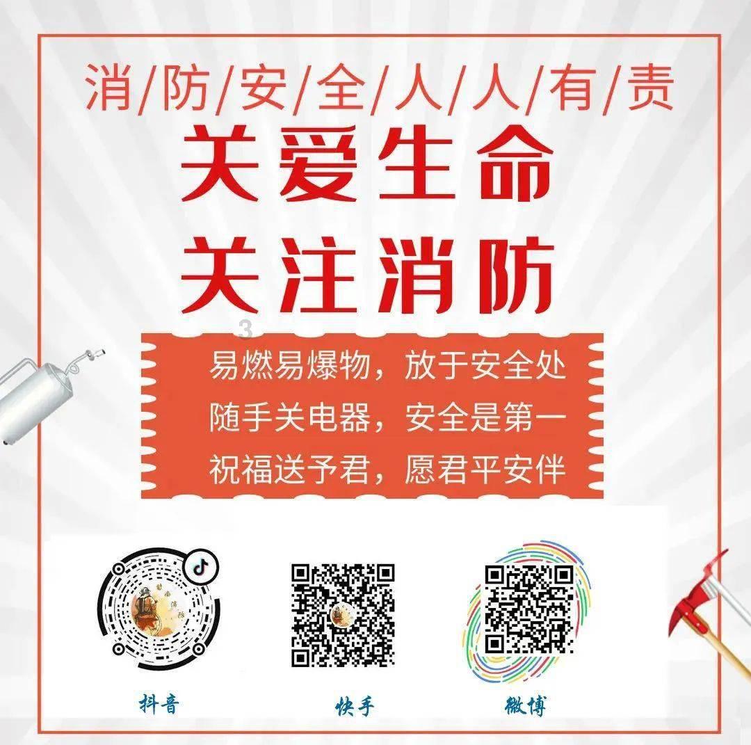 张永涛||问道四方-当代中国画名家斗方作品学术研究展第二回展