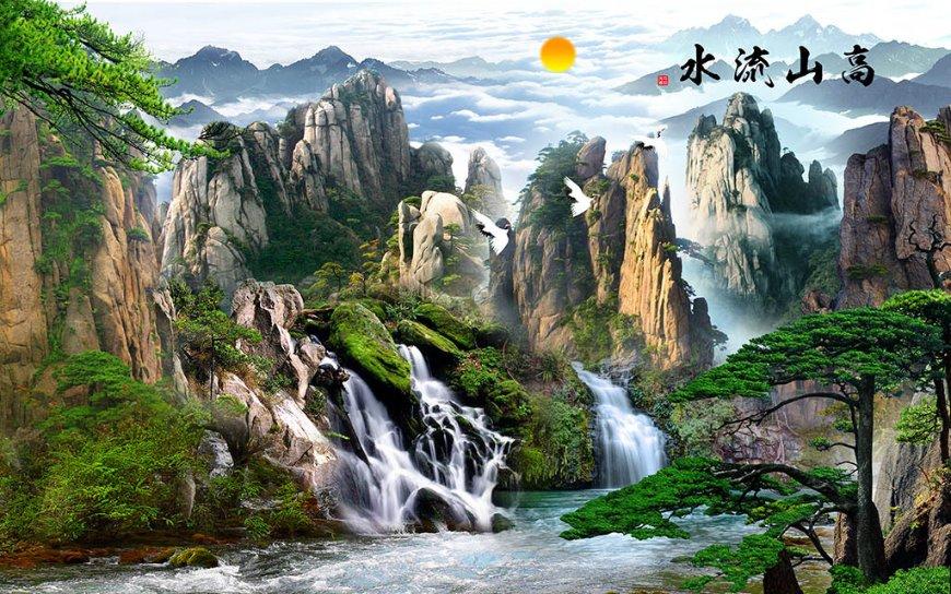 天天趣抓